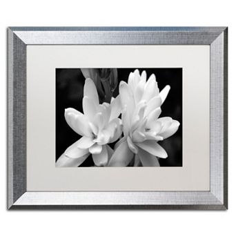 Trademark Fine Art Tuber Rose Silver Finish Framed Wall Art