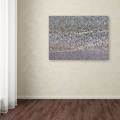 Trademark Fine Art Lakeshore Abstract Canvas Wall Art