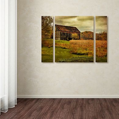 Trademark Fine Art "Old Barn on Rainy Day" Wall Art 3-piece Set