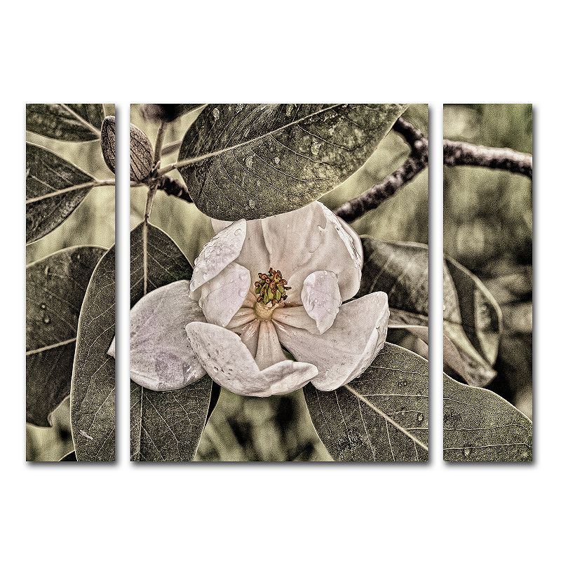 Trademark Fine Art White Magnolia Wall Art 3-piece Set, Green, Large