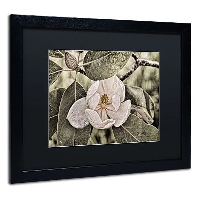 Trademark Fine Art "White Magnolia" Matted Black Framed Wall Art