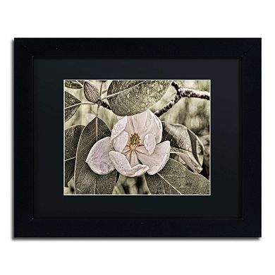 Trademark Fine Art "White Magnolia" Matted Black Framed Wall Art