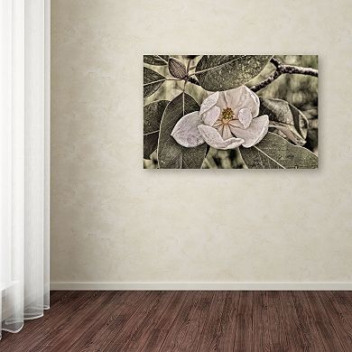 Trademark Fine Art "White Magnolia" Canvas Wall Art