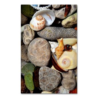 Trademark Fine Art "Petoskey Stones ll" Canvas Wall Art