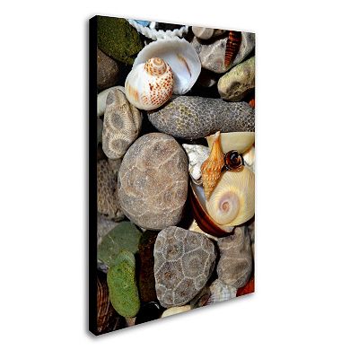 Trademark Fine Art "Petoskey Stones ll" Canvas Wall Art