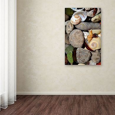 Trademark Fine Art "Petoskey Stones ll" Canvas Wall Art