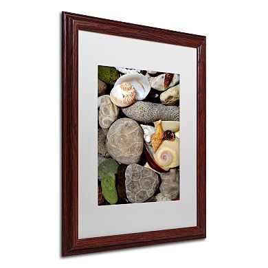 Trademark Fine Art "Petoskey Stones ll" Matted Wood Finish Framed Wall Art