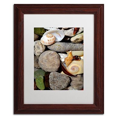 Trademark Fine Art "Petoskey Stones ll" Matted Wood Finish Framed Wall Art