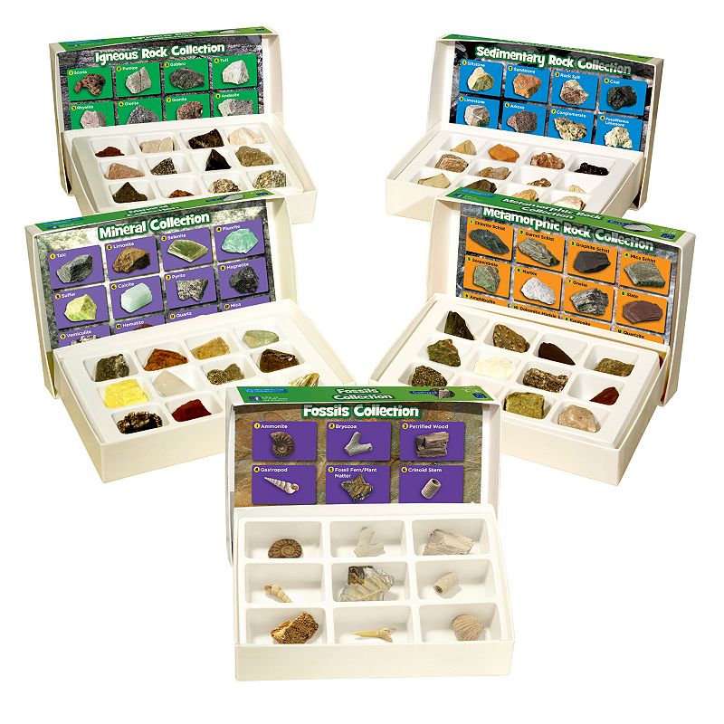Educational Insights Complete Rock, Mineral & Fossils Collection, Multicolo