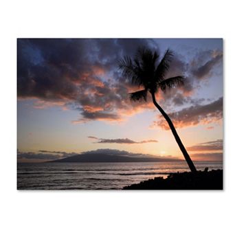 Trademark Fine Art "Palm Tree Maui" Canvas Wall Art