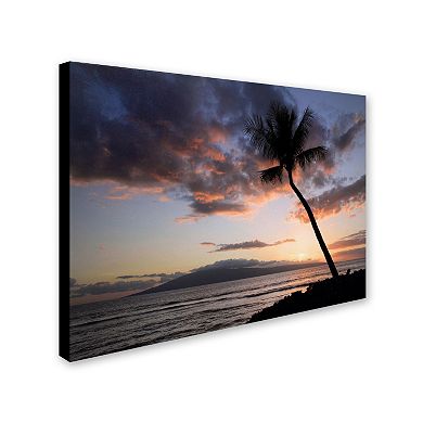 Trademark Fine Art "Palm Tree Maui" Canvas Wall Art