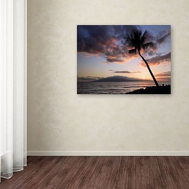 Trademark Fine Art "Palm Tree Maui" Canvas Wall Art