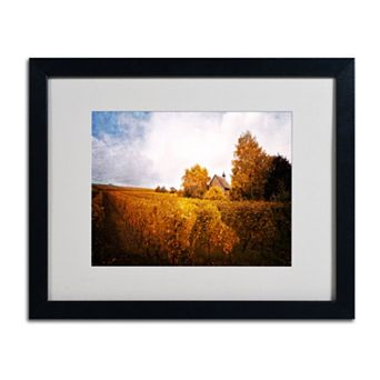 Trademark Fine Art "Light in Vineyards" Black Framed Wall Art