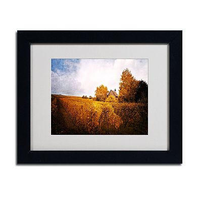 Trademark Fine Art "Light in Vineyards" Black Framed Wall Art
