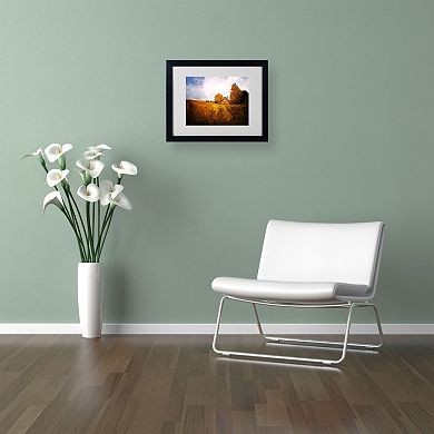 Trademark Fine Art "Light in Vineyards" Black Framed Wall Art