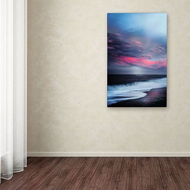 Trademark Fine Art "Salt Water Sound" Canvas Wall Art