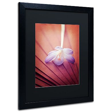 Trademark Fine Art "Access to Desires" Black Framed Wall Art