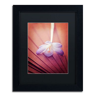Trademark Fine Art "Access to Desires" Black Framed Wall Art