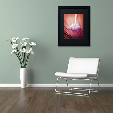 Trademark Fine Art "Access to Desires" Black Framed Wall Art