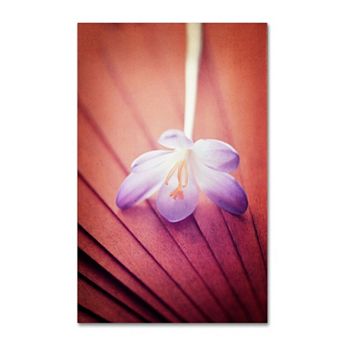 Trademark Fine Art "Access to Desires" Canvas Wall Art
