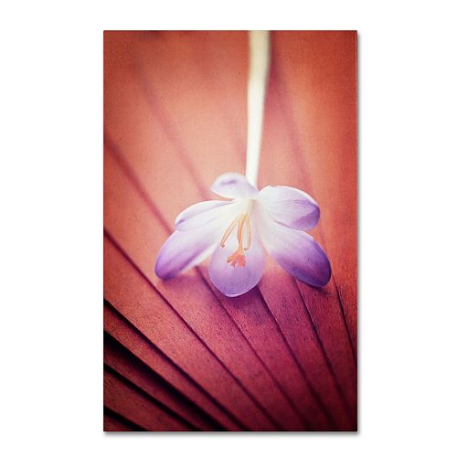 Trademark Fine Art Access to Desires Canvas Wall Art