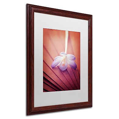 Trademark Fine Art "Access to Desires" Wood Finish Framed Wall Art