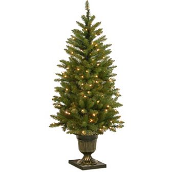 National Tree Company 4-ft. Pre-Lit Artificial Dunhill Fir Porch Tree