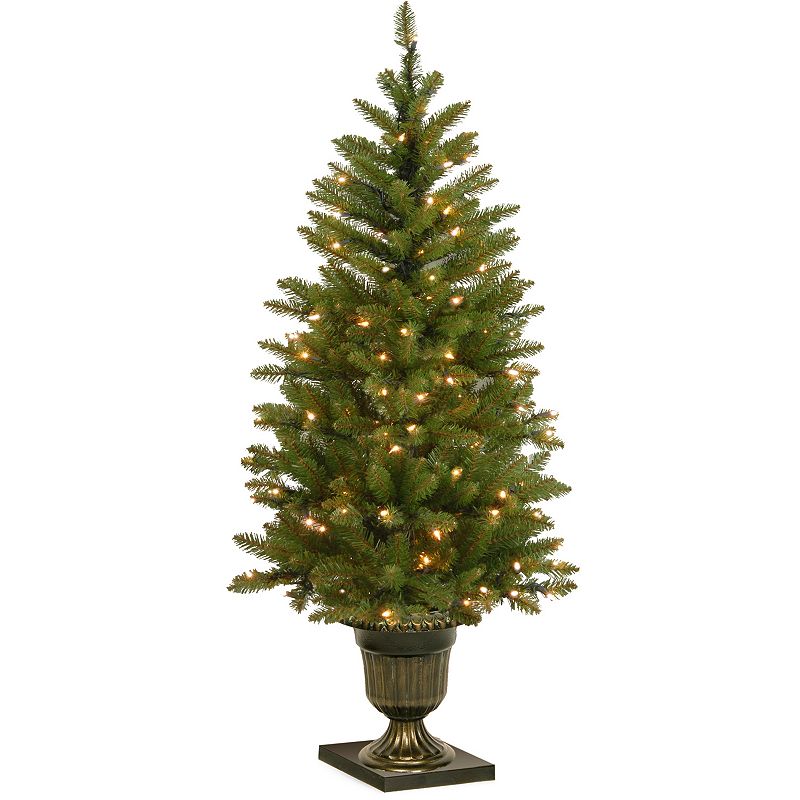 National Tree Company 4-ft. Pre-Lit Artificial Dunhill Fir Porch Tree, Gree