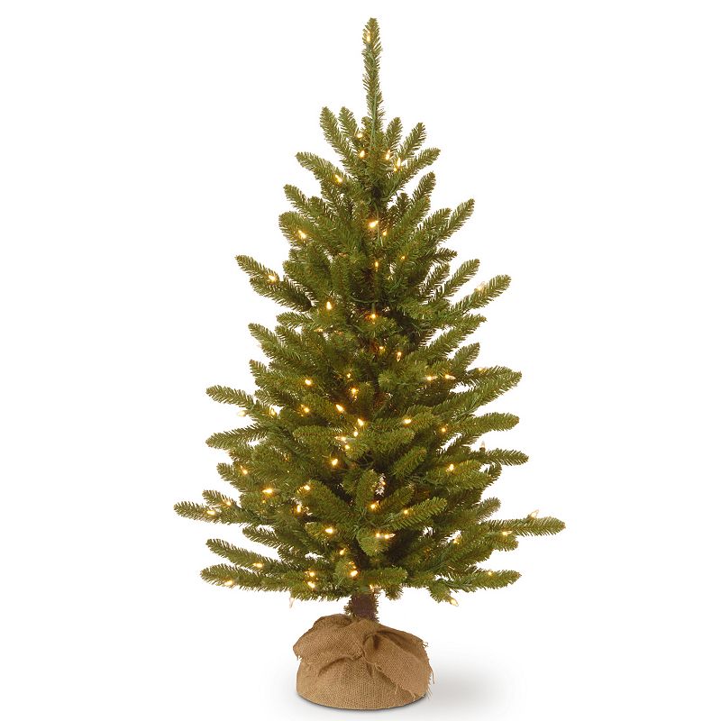 National Tree Company 4-ft. Pre-Lit Artificial Kensington Pine Burlap Porch Tree, Green