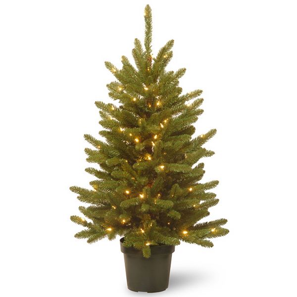 National Tree Company 4ft. PreLit Artificial Kensington Pine Porch Tree