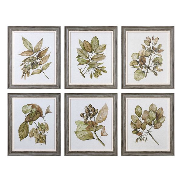 Uttermost Seedlings Leaves Framed Wall Art 6-piece Set