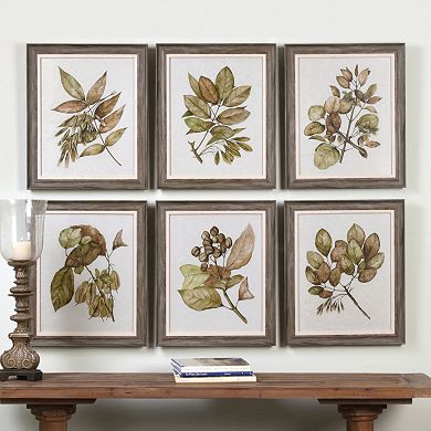 Uttermost Seedlings Leaves Framed Wall Art 6-piece Set 