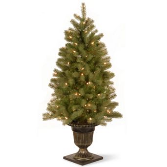 National Tree Company 4-ft. Pre-Lit Artificial Downswept Douglas Fir Porch Tree