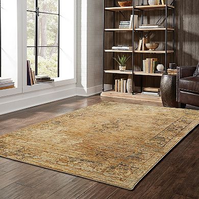 StyleHaven Alexander Faded Classic Framed Floral Rug
