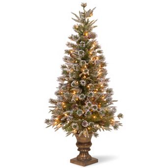 National Tree Company 4-ft. Pre-Lit Artificial Liberty Pine Porch Tree