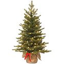 Tabletop Trees