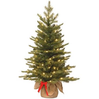 National Tree Company 3-ft. Pre-Lit Artificial Nordic Spruce Christmas Tree