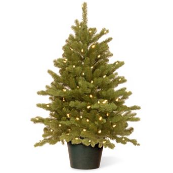 National Tree Company 3-ft. Hampton Spruce Pre-Lit Christmas Tree