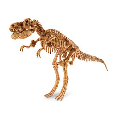MindWare Dig It Up! 3D Skeleton Model: Tyrannosaurus Rex