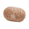Dig It Up! Dinosaur Eggs by MindWare