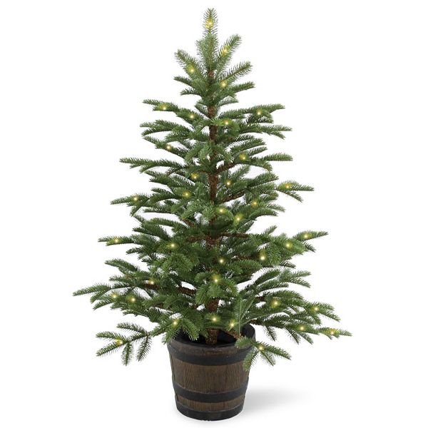 National Tree Company 4-ft. Pre-Lit Artificial Norwegian Spruce Porch Tree