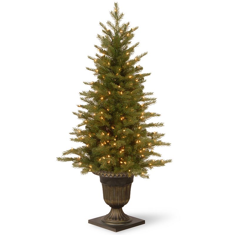 National Tree Company 4-ft. Pre-Lit Artificial Nordic Spruce Porch Tree, Gr