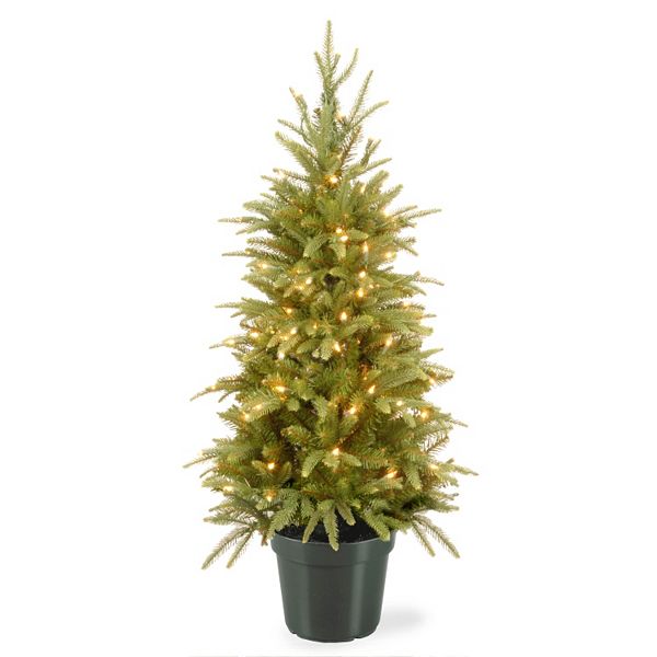 National Tree Company 4-ft. Pre-Lit Artificial Weeping Spruce Christmas ...