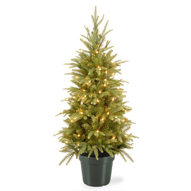 National Tree Company 4-ft. Pre-Lit Artificial Weeping Spruce Christmas Tre