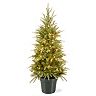 National Tree Company 4-ft. Pre-Lit Artificial Weeping Spruce Christmas ...