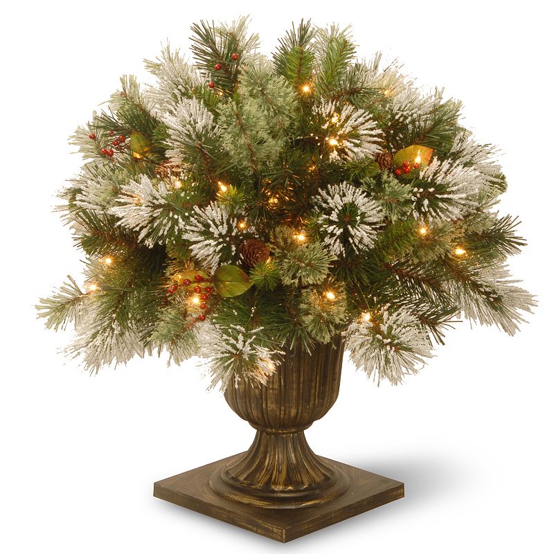 National Tree Company 24-in. Pre-Lit Artificial Wintry Pine Bush Plant, Gre