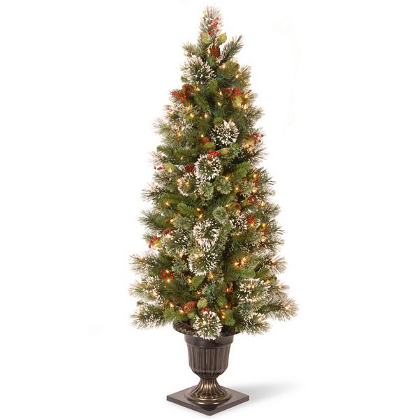 National Tree Company 5-ft. Pre-Lit Artificial Wintry Pine Porch Tree