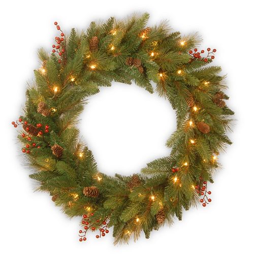 National Tree Company 24-in. Clear & Red Pre-Lit Artificial Christmas Wreath