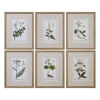 Green Floral Botanical Study Framed Wall Art 6 pc Set