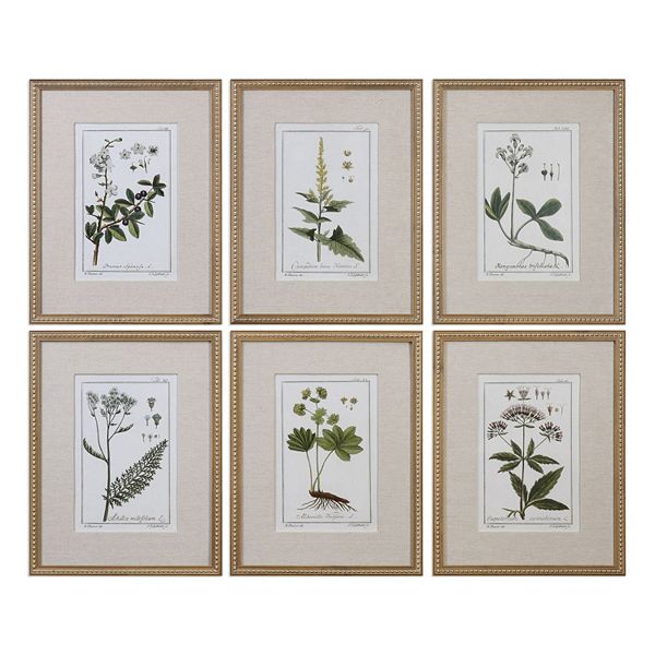 Uttermost Green Floral Botanical Study Framed Wall Art 6-piece Set